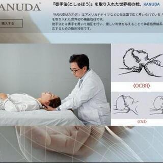 KANUDA ブルーラベル アレグロ枕 単品 カバー2点付き　定...