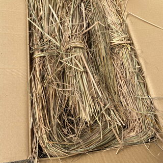乾燥藁(わら)  令和3年産　コシヒカリの藁のみです。の画像