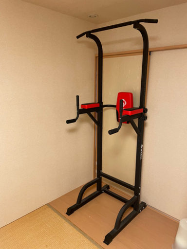 懸垂マシン ぶら下がり健康器 WASAI