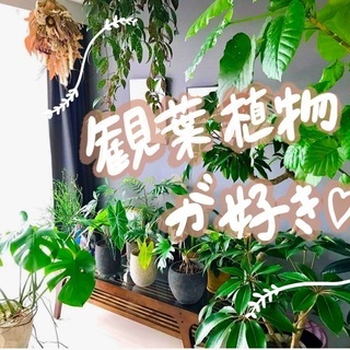 🌿観葉植物が好きなお友達🌱✨