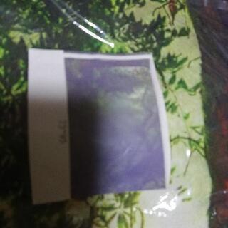 新品 未開封森林タペストリー 73×95の画像