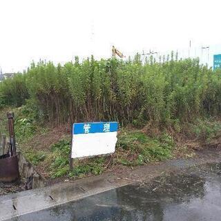 草の処理で困っています。