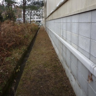 庭木剪定、樹木診断治療、草刈り、庭造りまで承ります - 剪定/造園