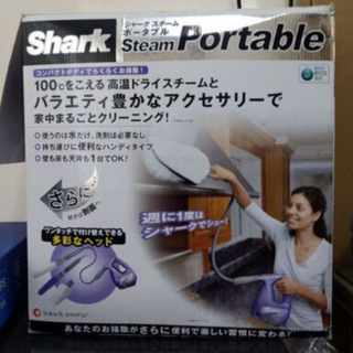 スチームクリーナー　スチームアイロン　セットの画像