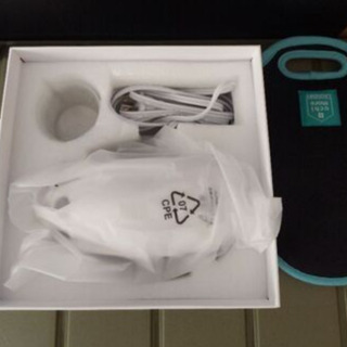 スチームクリーナー　スチームアイロン　セットの画像