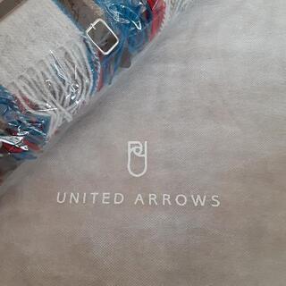 💴⤵️レジャーブランケット ユナイテッドアローズの画像