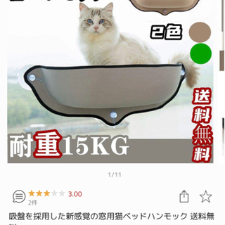 猫　ウィンドウベッド