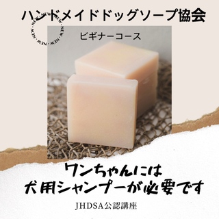 【満席になりました】JHDSA公認ワンちゃんの為の手作り石鹸