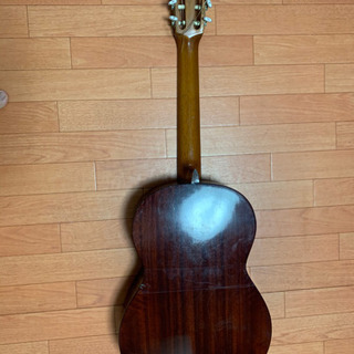 Suzuki Guitar。の画像