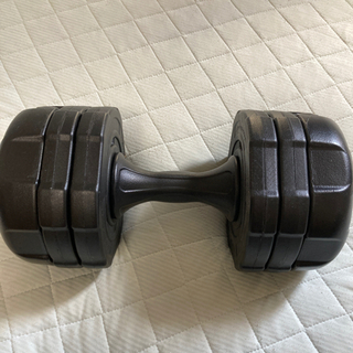 ダンベル2個(10kg×2)