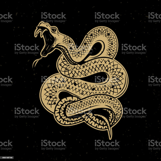 ヘビ🐍捕獲