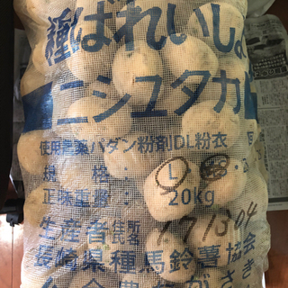 家庭菜園にぜひ！　馬鈴薯　種芋　ニシユタカ　1キロ〜の画像