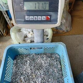 アルミ缶プルトップ