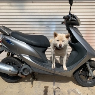 JOG evolution sa16j 2スト 実働　日立南太田ic