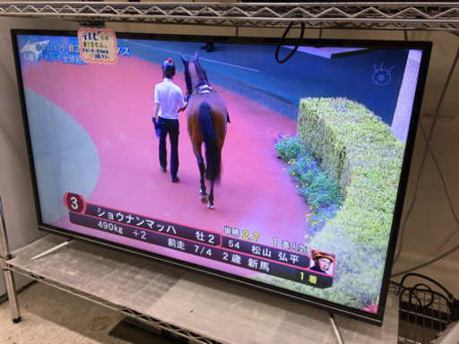 パソコンモニター　ユニテク　50インチ　2019年製