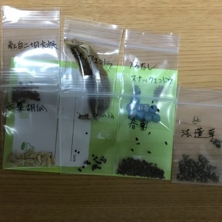 野菜の種　※23年春夏引越予定の画像
