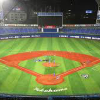 横浜スタジアムで野球をやりたい方募集‼︎