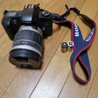 一眼レフ、フィルムカメラ
