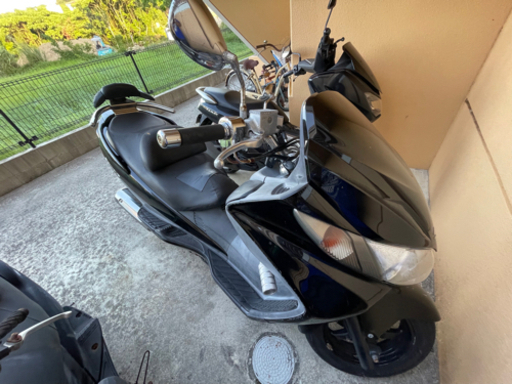 スカイウェイブ250