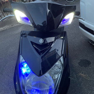 シグナス2型