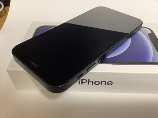 極美品iPhone12mini128GBケース付き保証有SIMフリー