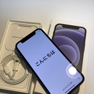 極美品iPhone12mini128GBケース付き保証有SIMフリー