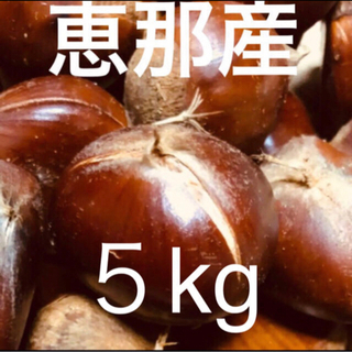 【秋の味覚】恵那  栗 2L 早生  5㎏  無農薬