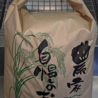 2020年秋収穫　長野県産コシヒカリ　No.5