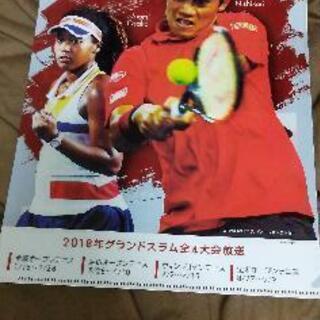 錦織ナオミWOWOWクリアファイル