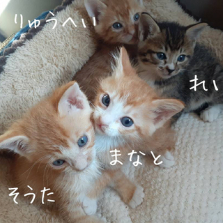 仲良し兄弟です！