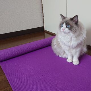 ジャイロトニック®️ジャイロキネシス®️新規生徒募集