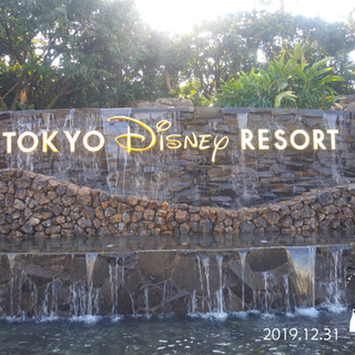 ディズニー仲間募集