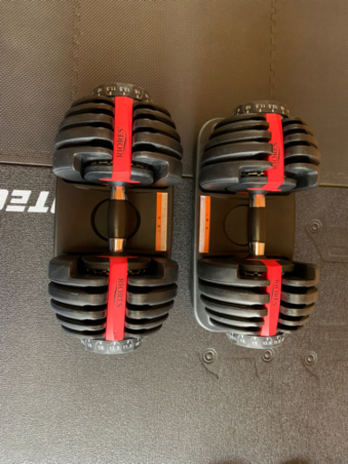 リオレス可変式ダンベル　24キロ　2セット