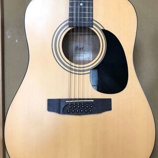 Cort 12弦ギター 美品（すぐ弾けますが、ちょっと難あり）い...