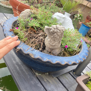 植木鉢　金魚鉢　睡蓮鉢　釜　ほぼ毎週土曜★物々交換会