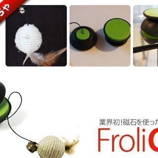 ネコ用品 フローリーキャットの画像