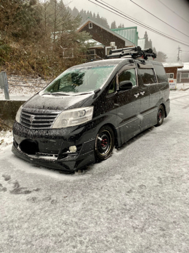 10系アルファード、スノーキャリア