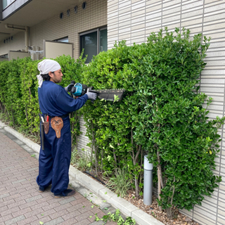 植木屋補助のアルバイト急募の画像