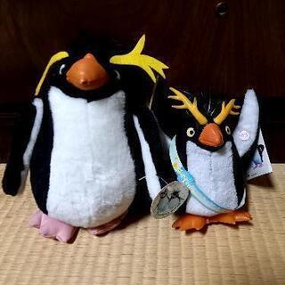 イワトビペンギンの中古が安い！激安で譲ります・無料であげます