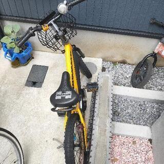 自転車 子供の画像