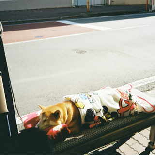 フィルムカメラ友達募集
