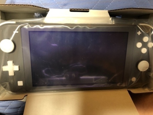 任天堂Switch light グレー