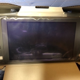 任天堂Switch light グレー