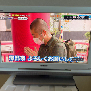 テレビ