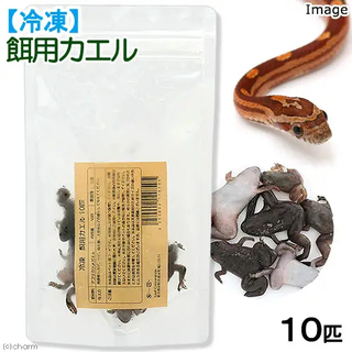 [餌用]冷凍カエル 冷凍ヤモリ【終了】