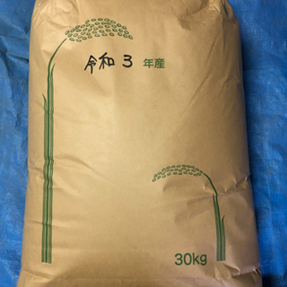 新米！四日市産キヌヒカリ　　　　　　　　　　(玄米30k)