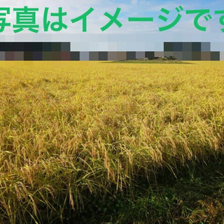 【🌾2袋お譲りできます🌾】茨城産 新米 採れたて R3年 令和3...
