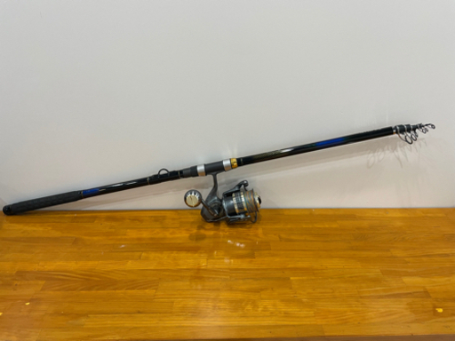 打ち込み竿。タマンモンスター、テイルウォークリール