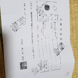 型枠解体職人募集！