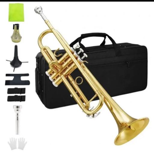 アルトサックス11点セット E Saxophone ゴールドラッカー ケース付き